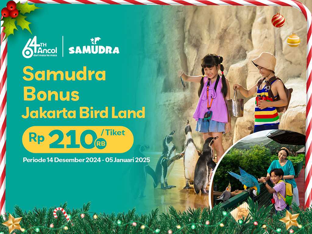 Liburan Penuh Ceria Main Bareng Dolphin Di Samudra Ancol Bonus Ke Jakarta Bird Land!